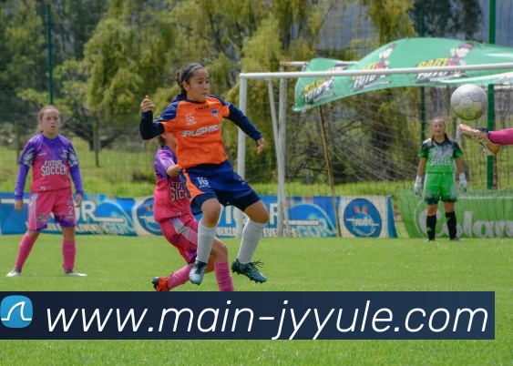 多媒体互动体验